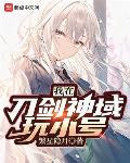我在刀剑神域玩小号