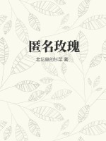 匿名玫瑰小说百度云