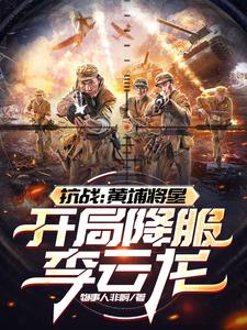 主角黄埔一期出身的抗战小说