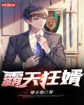 霸天狂婿