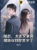 陆总离婚请签字小说免费阅读